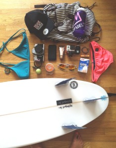 Surf travel bag