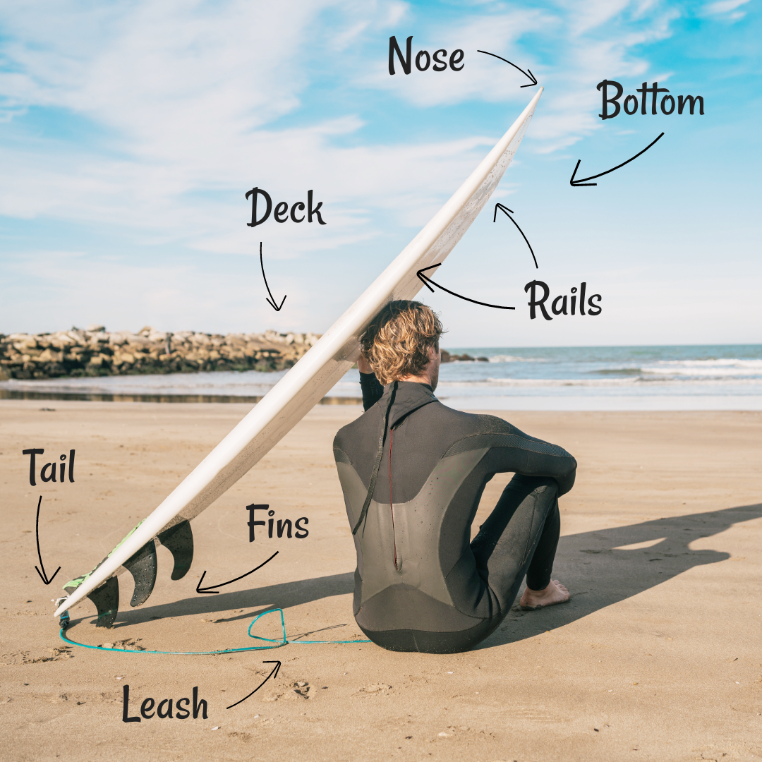 Surfboard anatomy. All the parts of a surfboard